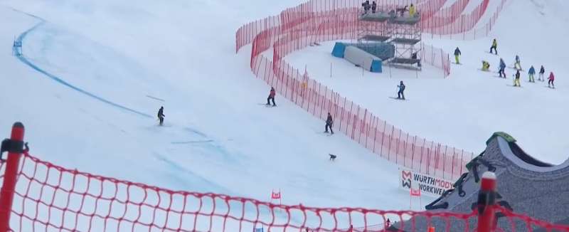 cane sulla pista di sci a bormio 6