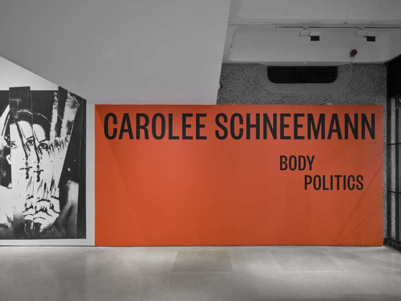 carolee schneemann mostra body politics