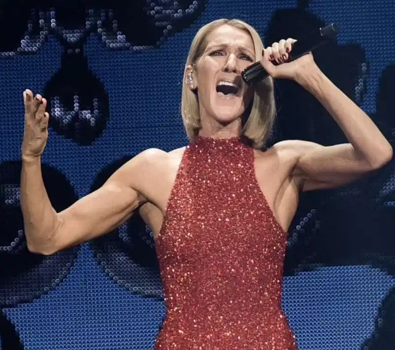 celine dion   4