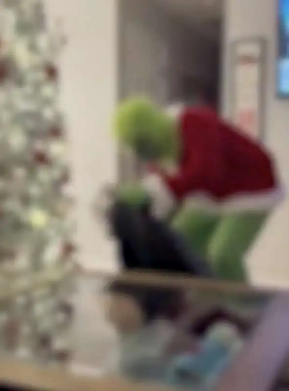 genitori si travestono da grinch 5