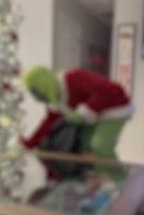 genitori si travestono da grinch 6