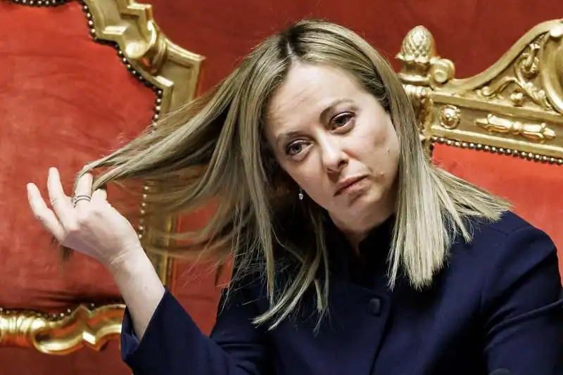 giorgia meloni al senato   