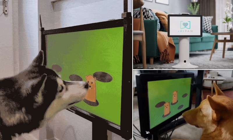 joipaw il videogioco per cani 3