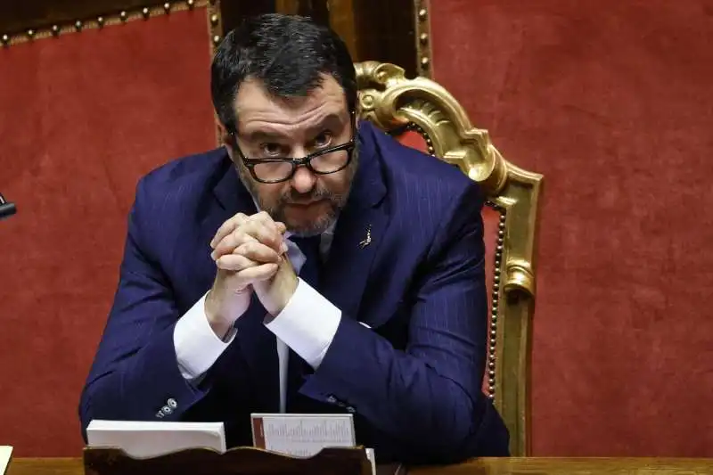 MATTEO SALVINI AL SENATO 