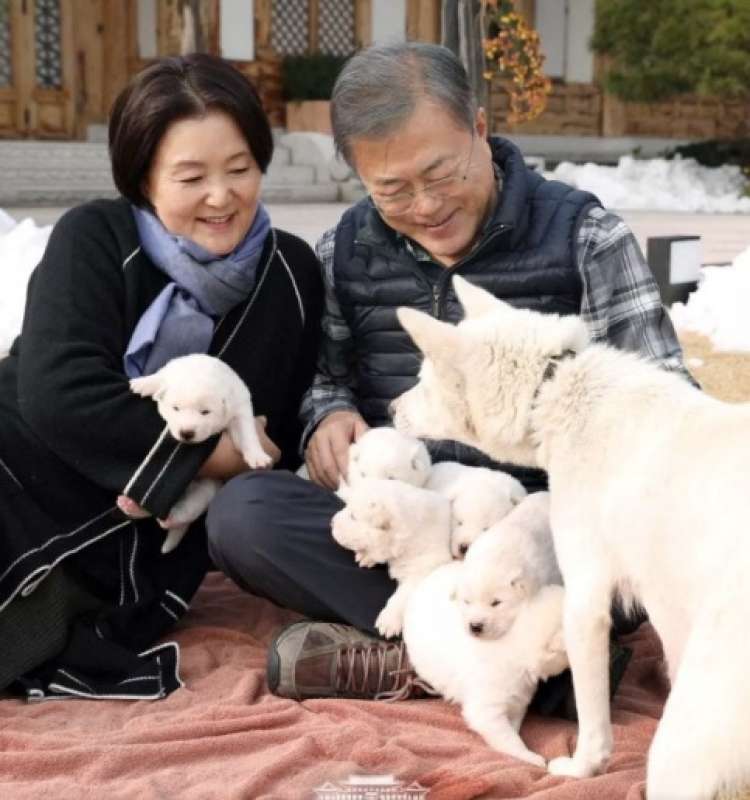 moon jae in la moglie e i cani regalati da kim jong un