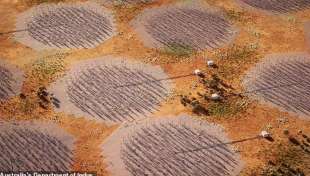 radiotelescopio square kilometer array 4