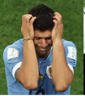 suarez