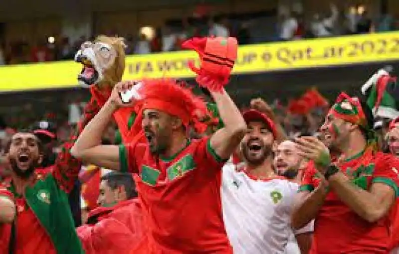 TIFOSI MAROCCO 