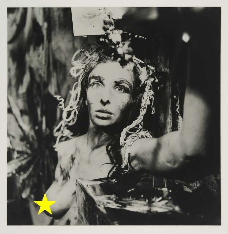 trasformative action for camera 01 1963 carolee schneemann