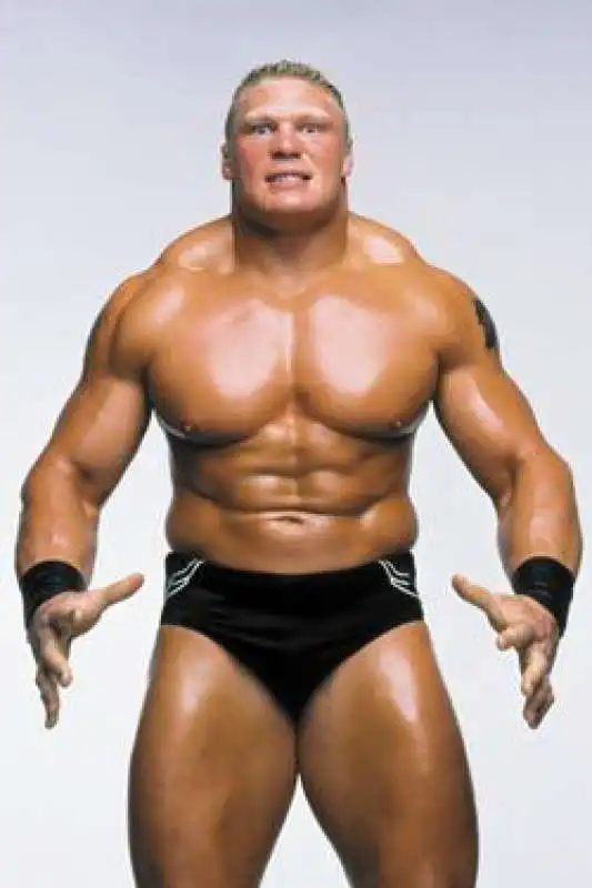 brock lesnar 2