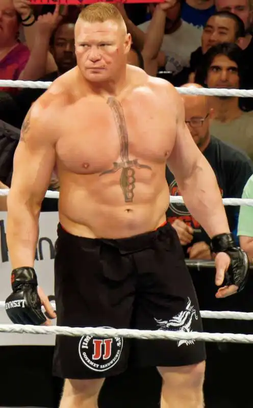 brock lesnar 5