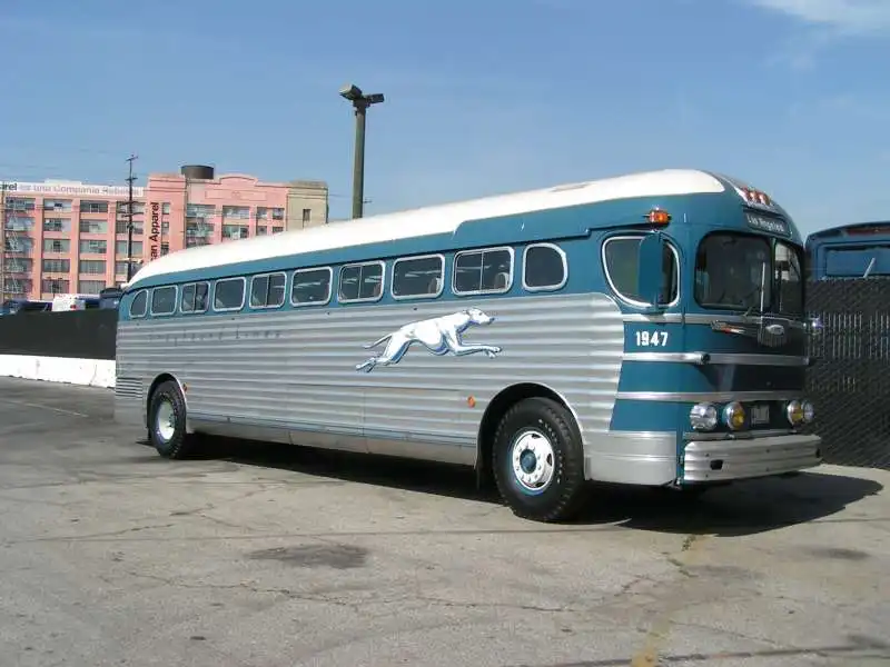 bus greyhound 3