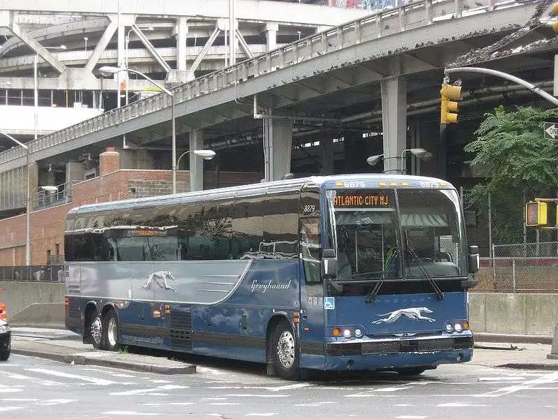 bus greyhound 4