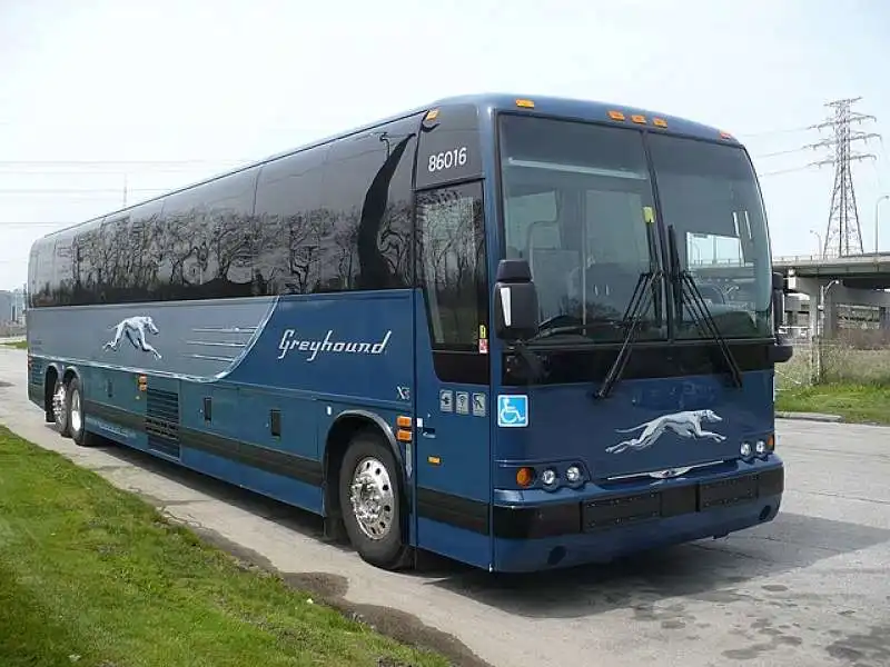 bus greyhound 6