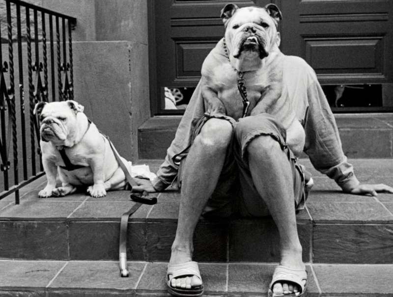 fotografia di elliott erwitt