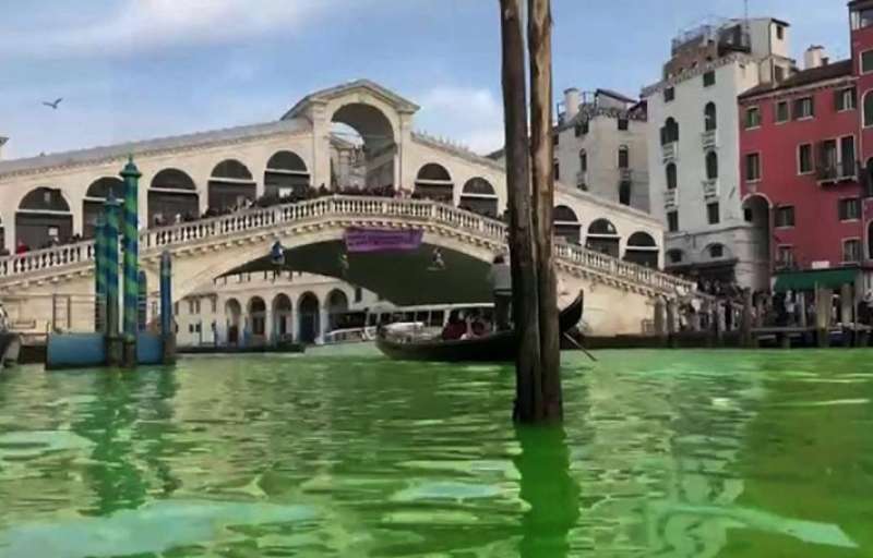 il canal grande colorato di verde dagli ambientalisti di Extinction Rebllion