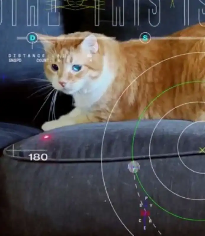 il filmato del gatto sparato nello spazio dalla nasa 