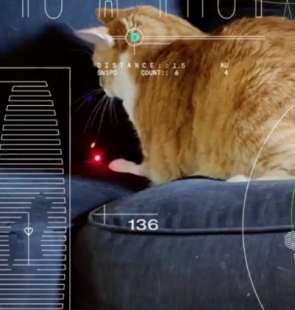 il filmato del gatto sparato nello spazio dalla nasa