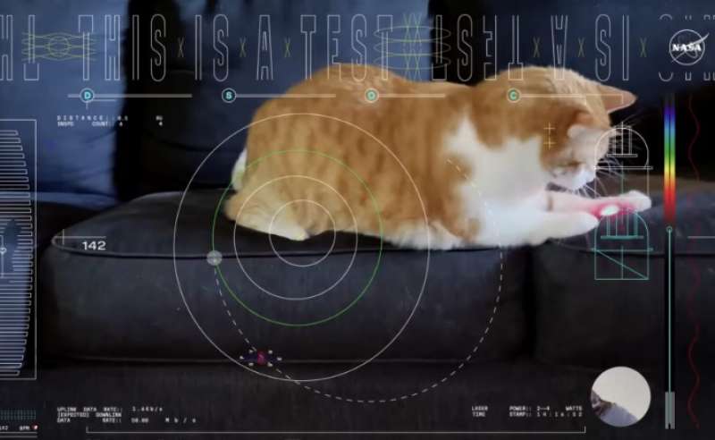 il filmato del gatto sparato nello spazio dalla nasa