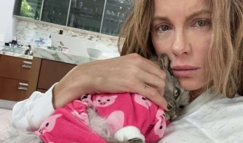 Kate Beckinsale e il suo gatto clive