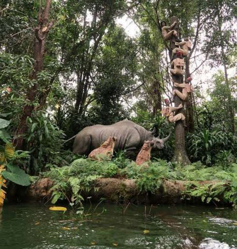 la giostra di jungle cruise a disneyland hong kong