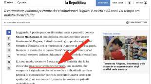 La Repubblica, encefalite cerebrale (1)