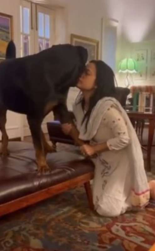 mahua moitra e il suo cane