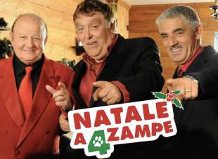 natale a quattro zampe 4