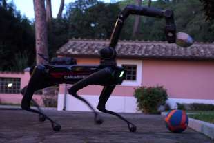 saetta il cane robot dei carabinieri 4