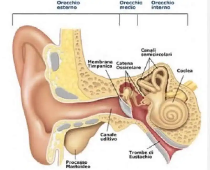 sindrome otolitica 