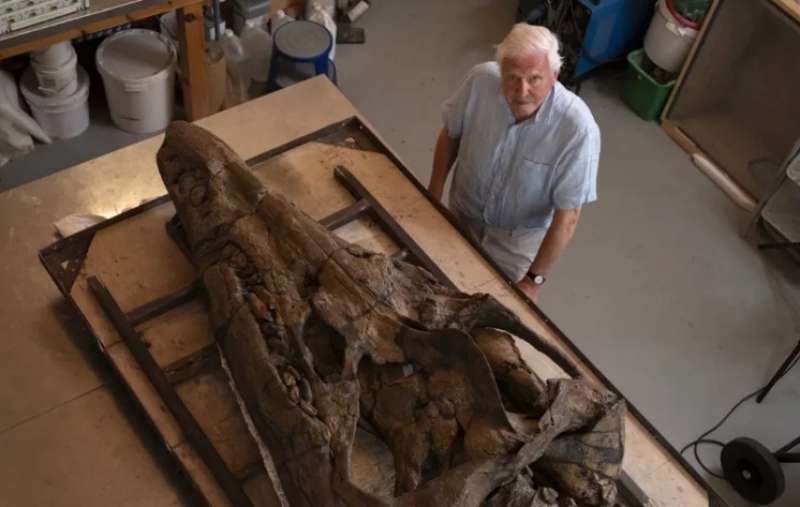 Steve Etches e il cranio del Pliosauro