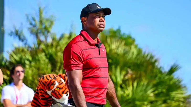 tiger woods 6