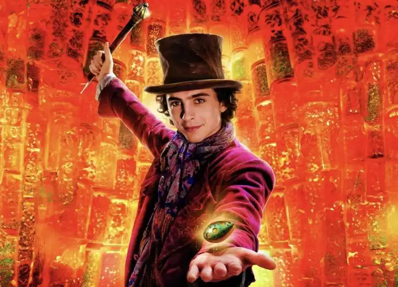 timothee chalamet in wonka 3