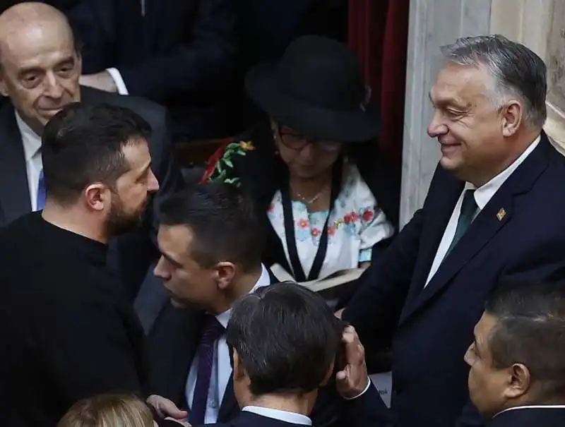 volodymyr zelensky discute con viktor orban al giuramento di javier milei  3