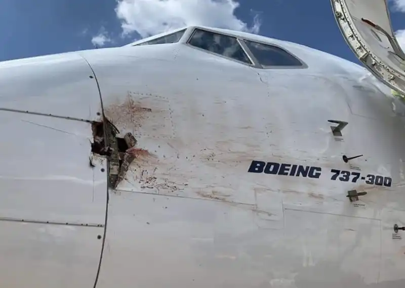 bird strike       