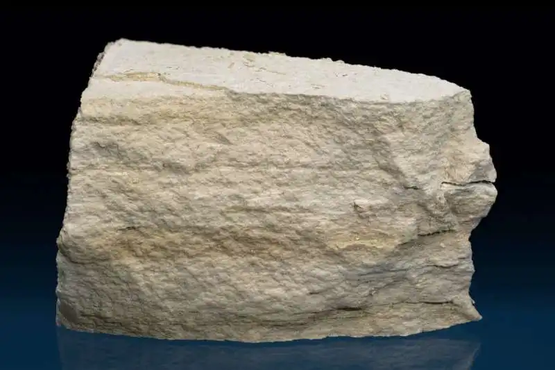 DIATOMITE