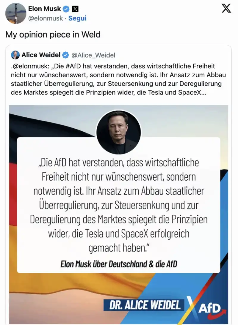 EDITORIALE PRO AFD DI ELON MUSK SU DIE WELT