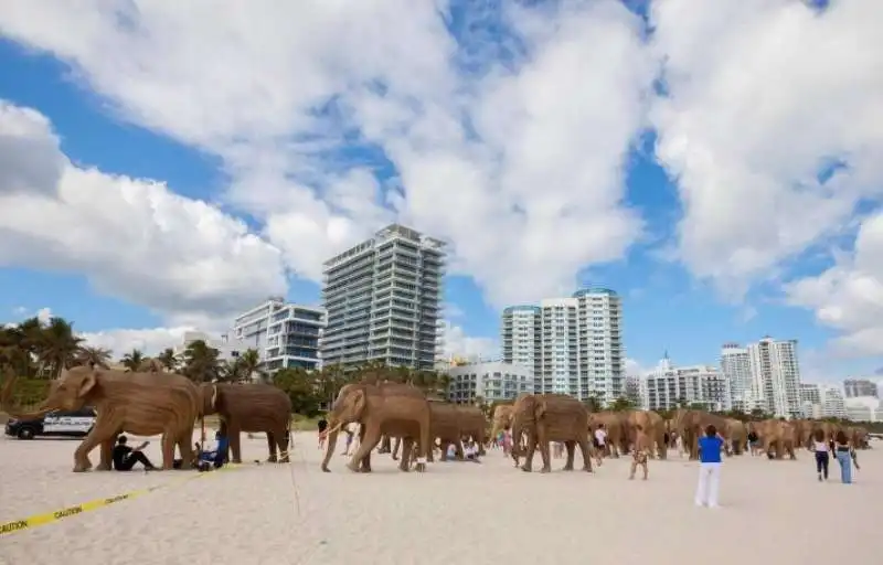 great elephant migration a miami 4