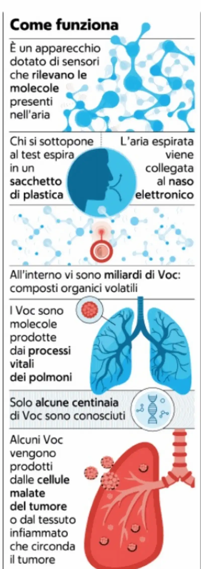 IL NASO ELETTRONICO CHE SCOPRE IL TUMORE AI POLMONI 1 DI 2