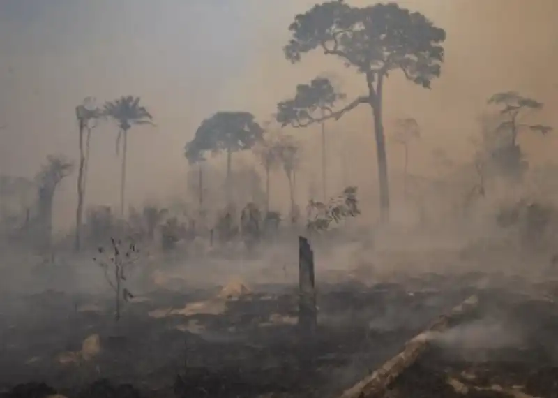 incendi boschivi in brasile  1