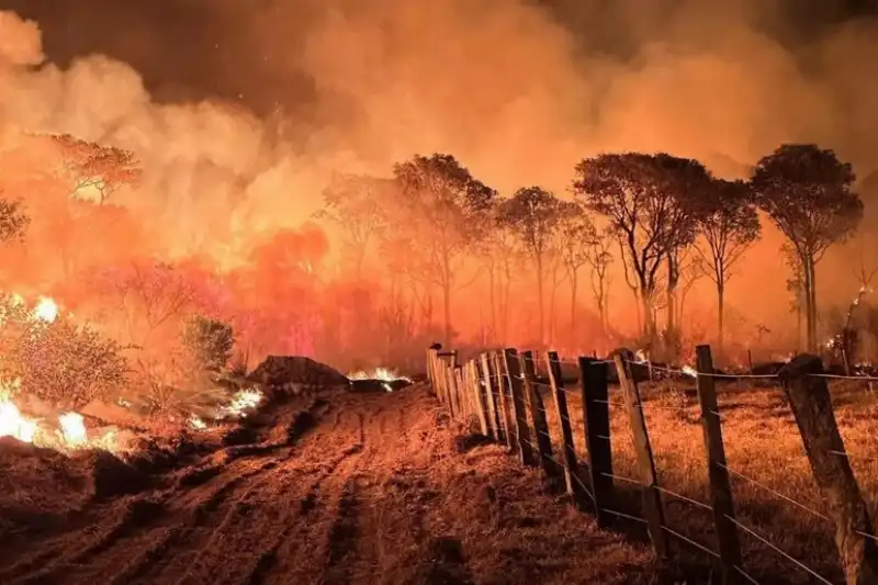 incendi boschivi in brasile  2