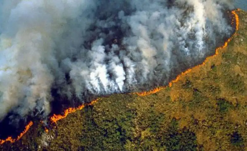 incendi boschivi in brasile  3