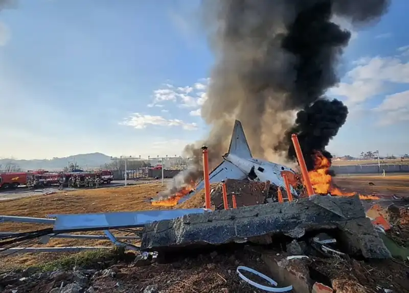 incidente aereo jeju air all aeroporto di muan   corea del sud   1