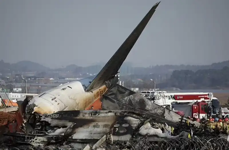 incidente aereo jeju air all aeroporto di muan   corea del sud   14