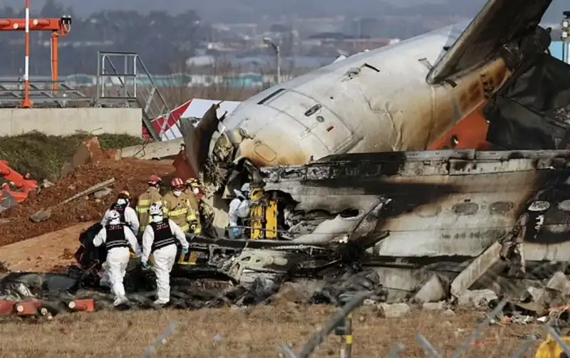 incidente aereo jeju air all aeroporto di muan   corea del sud   3