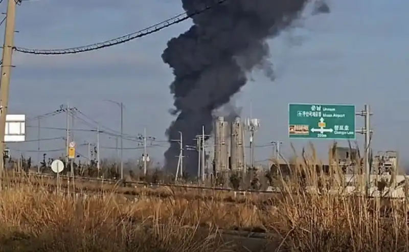 incidente aereo muan   corea del sud   9