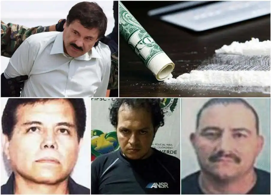 cocaina narcos chapo