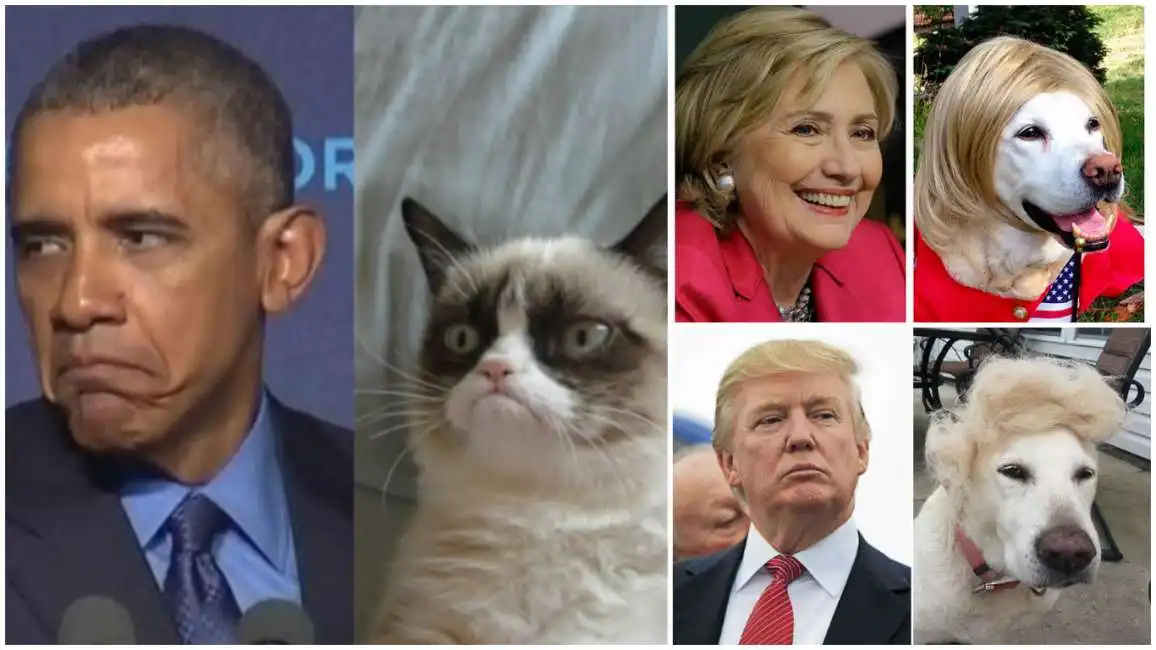 obama hillary clinton donald trump