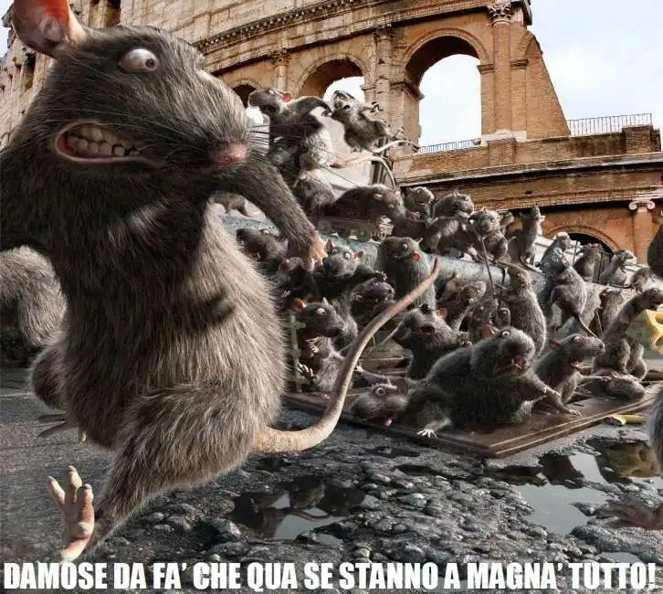 roma topi