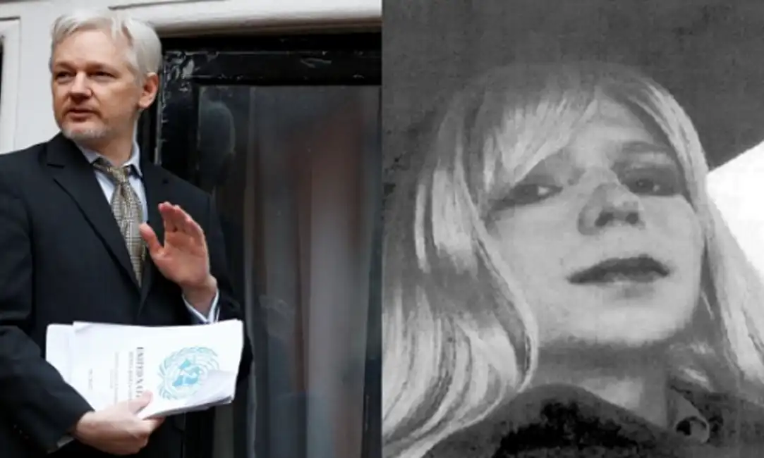 assange chelsea manning